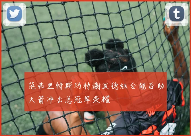 范弗里特斯玛特谢泼德组合能否助火箭冲击总冠军荣耀